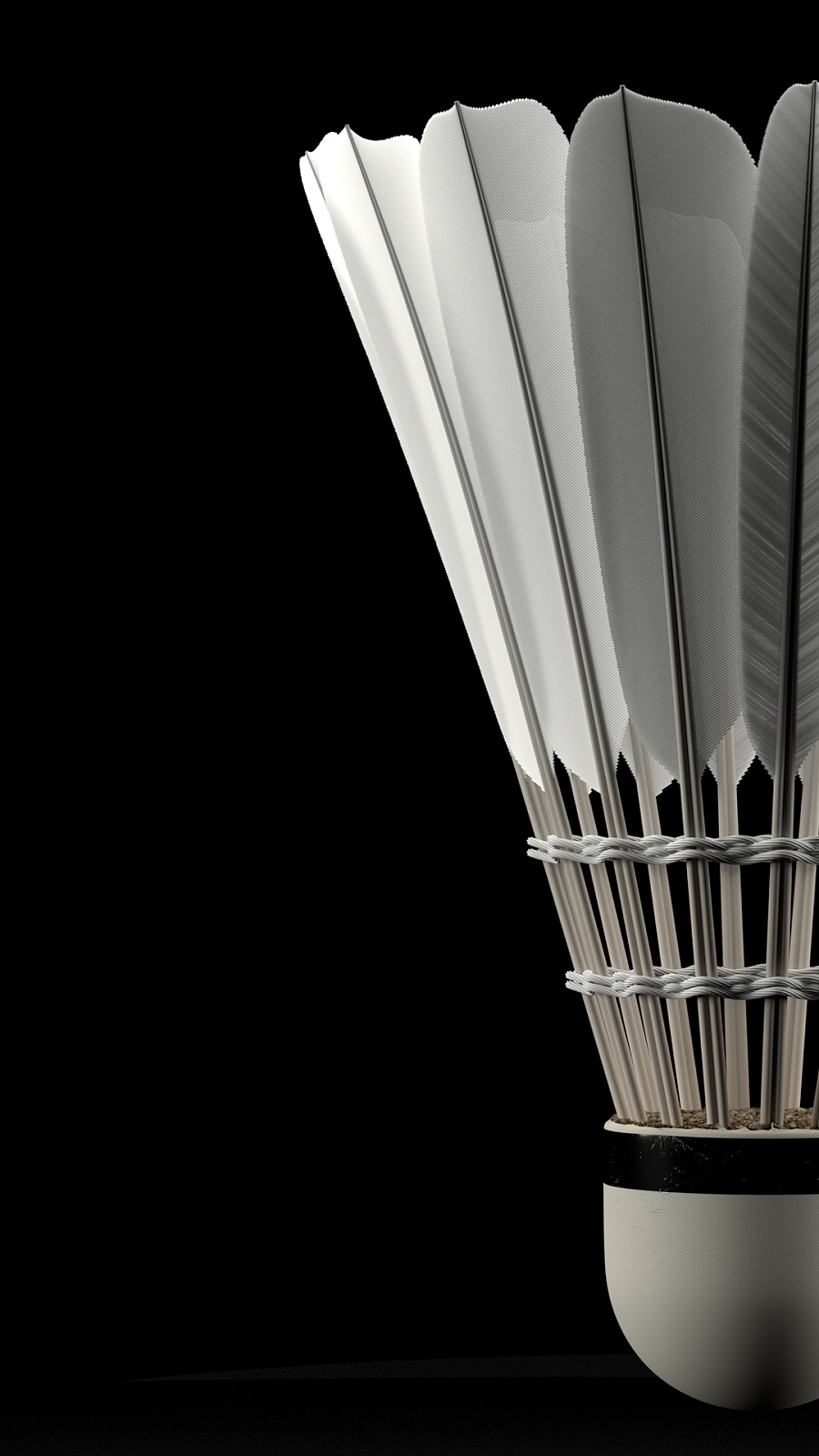 竞技水平 竞技水平