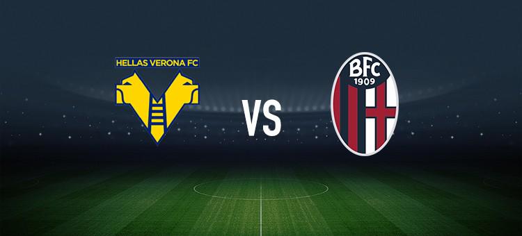 后卫的重要 后卫的重要